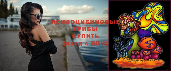 apvp Гвардейск