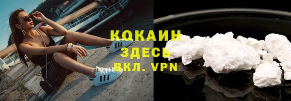 дмт Грязовец