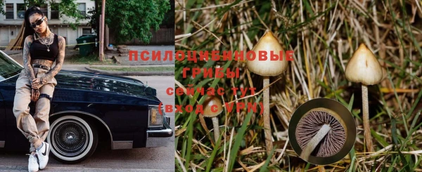 дмт Грязовец