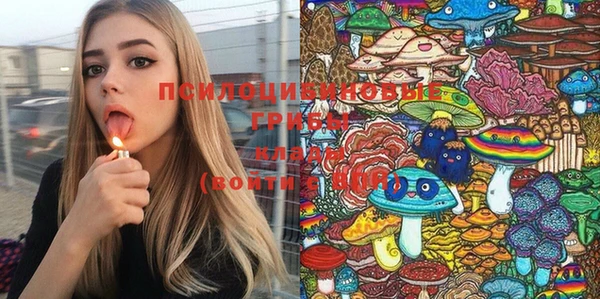 apvp Гвардейск