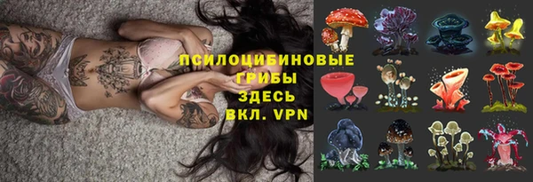дмт Грязовец