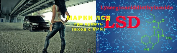 дмт Грязовец