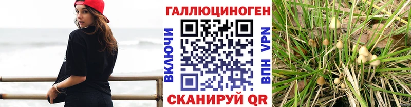 Псилоцибиновые грибы мухоморы  Костерёво 